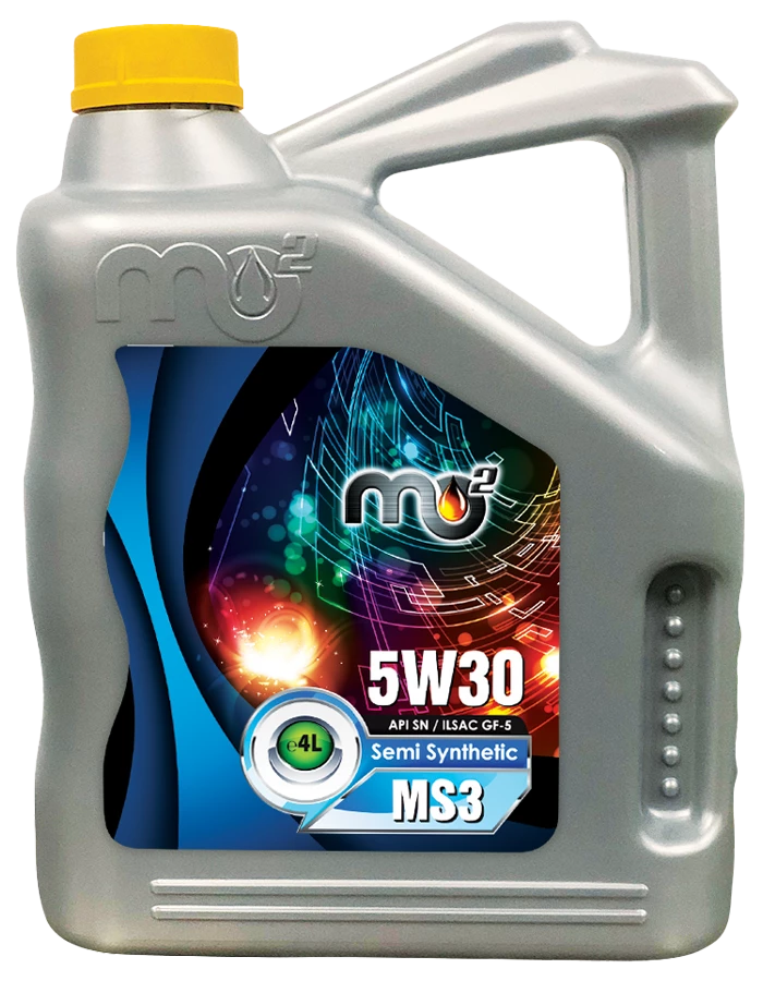MS3